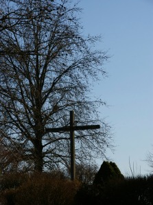 Cross & Tree in Shadow